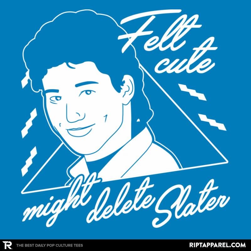 Felt Cute Might Delete AC