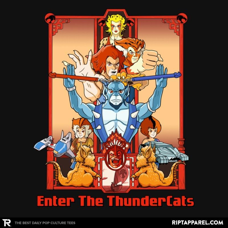 Enter The Cats - Anytime