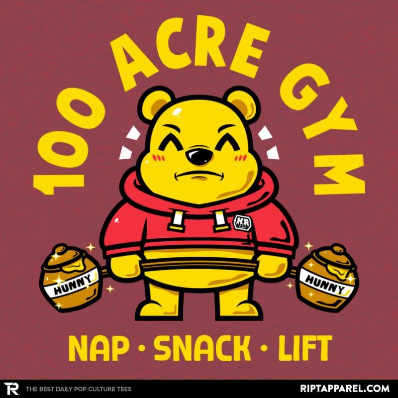 100 ACRE GYM
