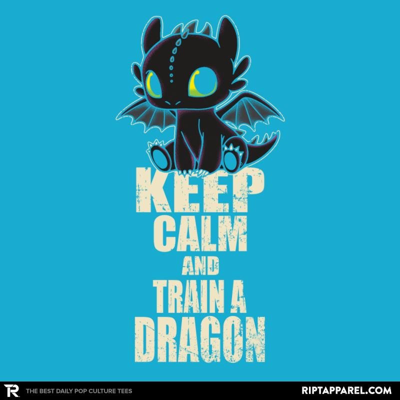 keep calm and train a dragon