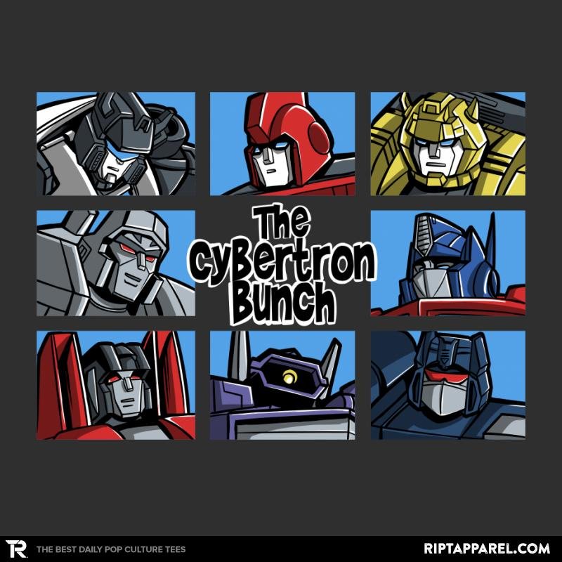 The Cybertron Bunch