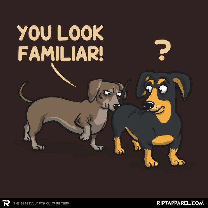 You Look Familiar