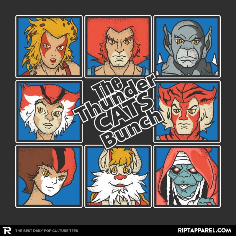 THUNDER CATS BUNCH