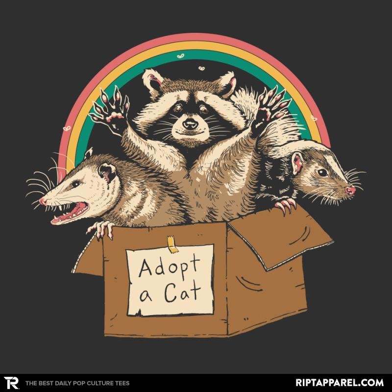 Adopt Forbidden Cats – Anytime