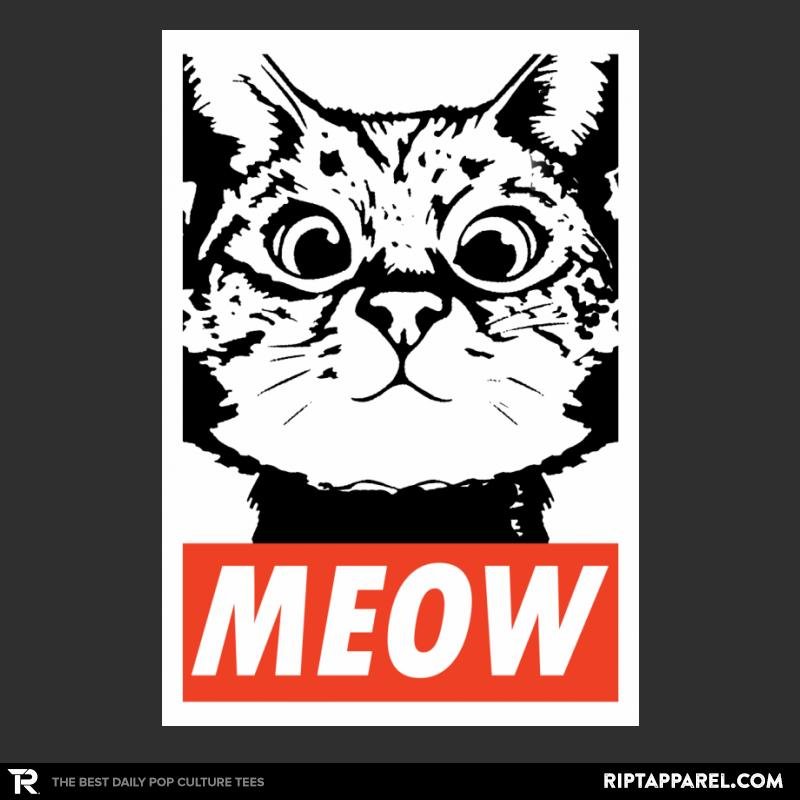 Meow Obey