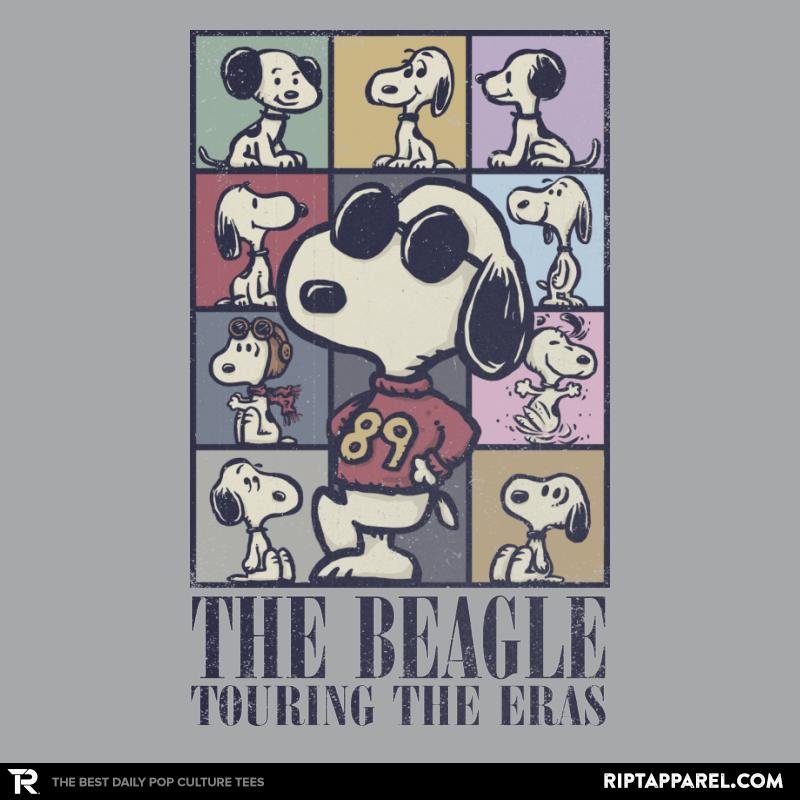Eras of the Beagle
