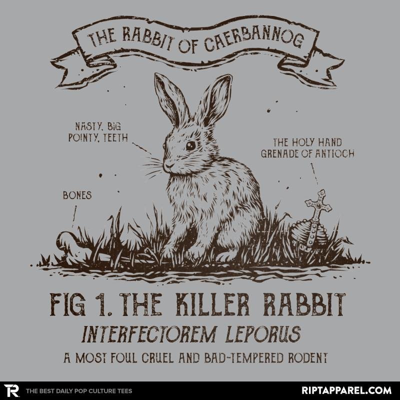 The Rabbit of Caerbannog