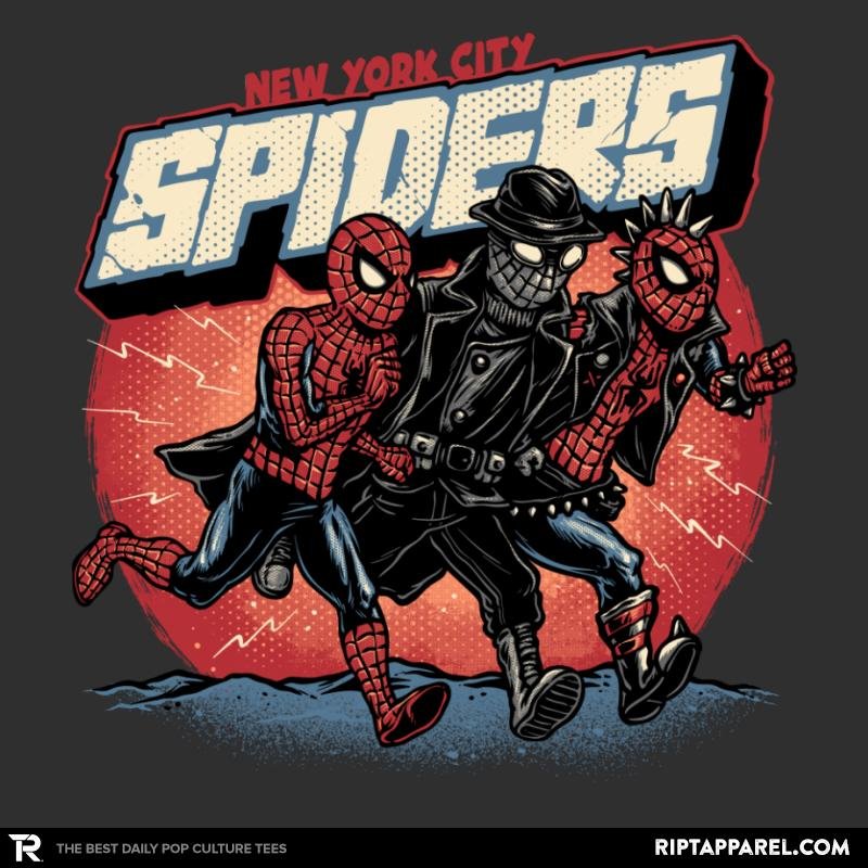 New York City Spiders